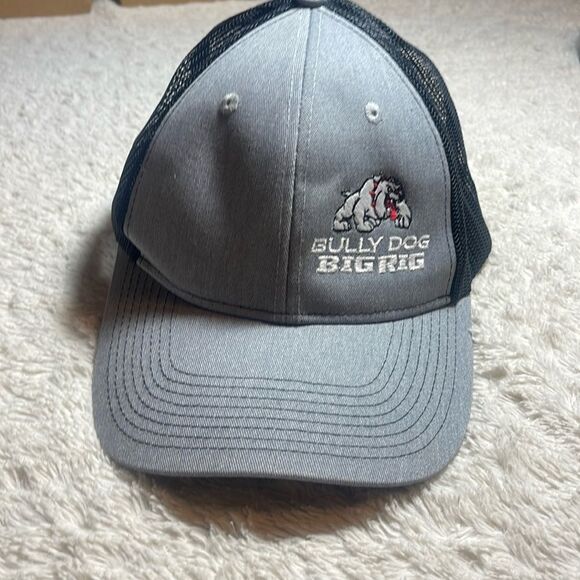 Bully  dog, big rig hat - Picture 1 of 5